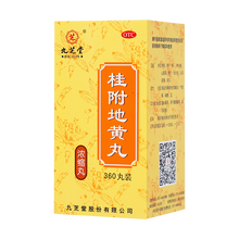九芝堂 桂附地黄丸（浓缩丸） 360丸/盒
