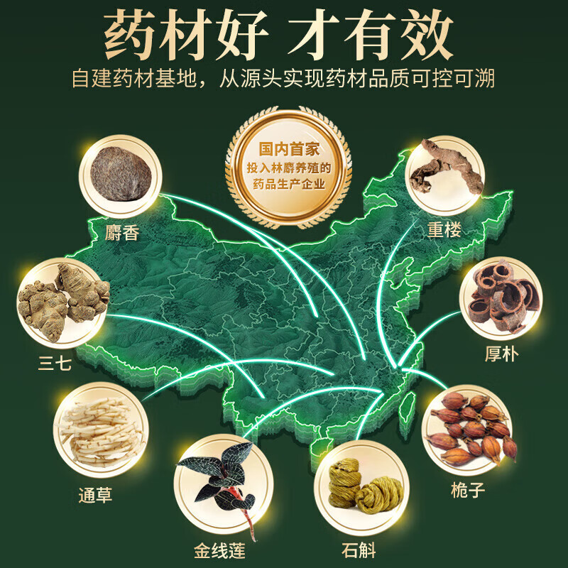 片仔癀 茵胆平肝胶囊 0.5g*20粒/盒_同仁堂官方云商城