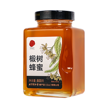 同仁堂 椴树蜂蜜 800g/瓶