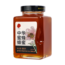 同仁堂 中华蜂蜜 800g