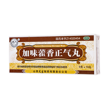 紫金山泉 加味藿香正气丸 9g*10丸/盒