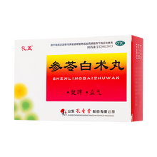 孔孟 参苓白术丸 6g*10袋/盒