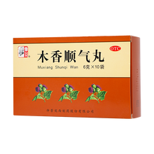 仲景 木香顺气丸 6g*10袋 