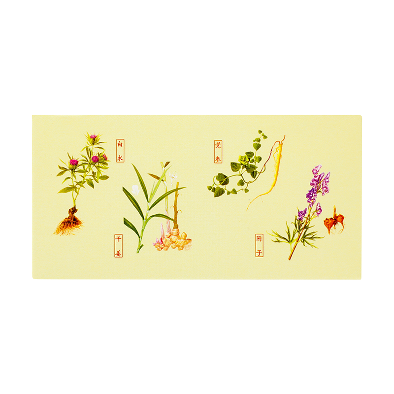 仲景 附子理中丸 200丸/盒_同仁堂官方云商城