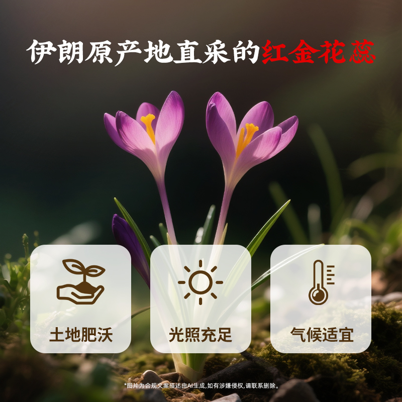 同仁堂 西红花 1g/瓶_同仁堂官方云商城