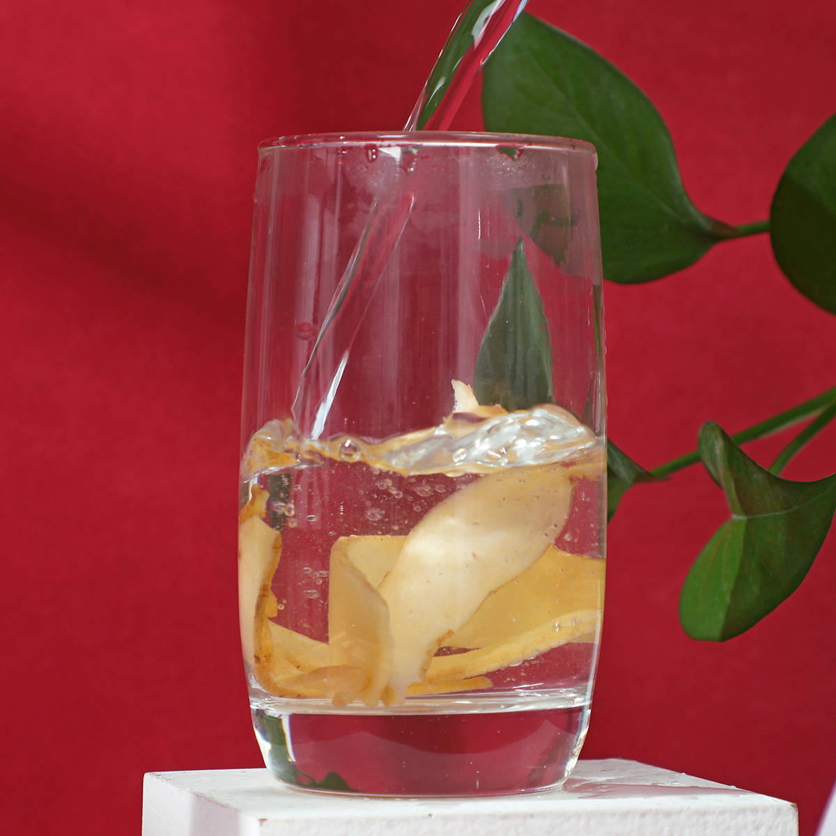 同仁堂 玉竹片 薄片 80克/瓶_同仁堂官方云商城