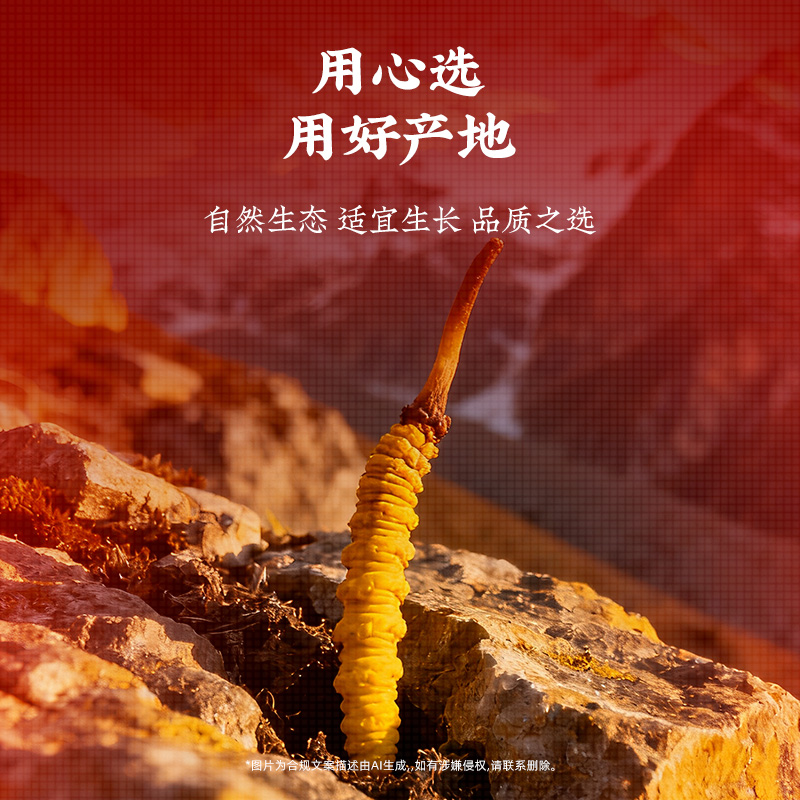 同仁堂 总统牌 冬虫夏草 -40/10g_同仁堂官方云商城