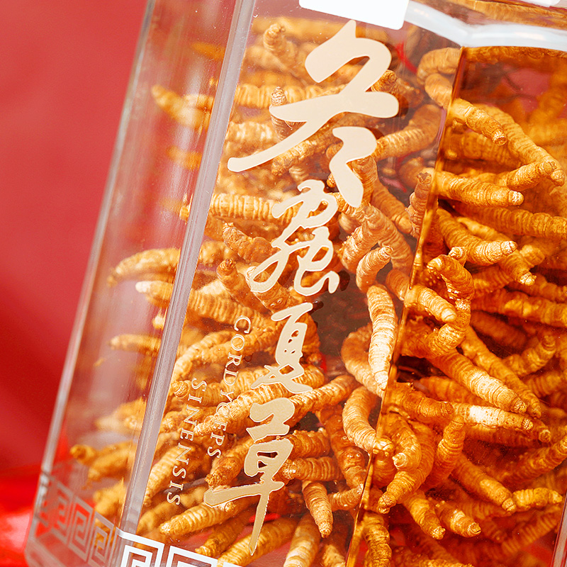 同仁堂 总统牌冬虫夏草礼盒装 0#-40/60g _同仁堂官方云商城