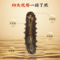 同仁堂 黑金辽参（速发海参）138克（35只）/100-150头/500克_同仁堂官方云商城
