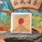 同仁堂 陈皮白茶紧压调味茶 240克（24克*10）_同仁堂官方云商城