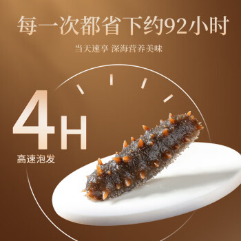 同仁堂 黑金辽参（速发海参） 55克/（130-170头/500克）/盒_同仁堂官方云商城