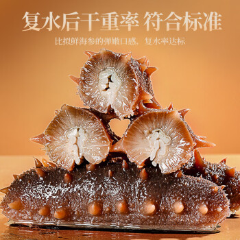 同仁堂 黑金辽参（速发海参） 55克/（130-170头/500克）/盒_同仁堂官方云商城