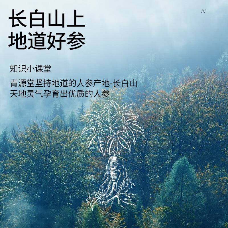 同仁堂 干制红参片 250g/罐_同仁堂官方云商城
