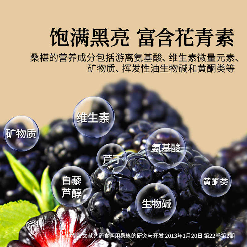 同仁堂 桑椹 500克/瓶_同仁堂官方云商城