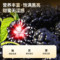 同仁堂 桑椹 500克/瓶_同仁堂官方云商城