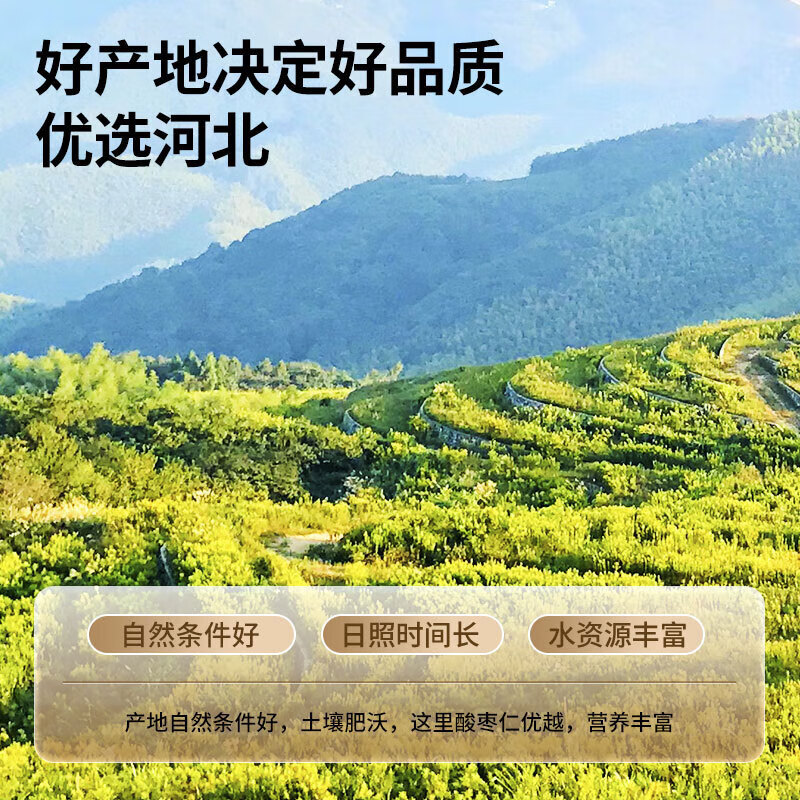 同仁堂 酸枣仁 100克/瓶_同仁堂官方云商城