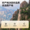 同仁堂 决明子 500克/瓶_同仁堂官方云商城