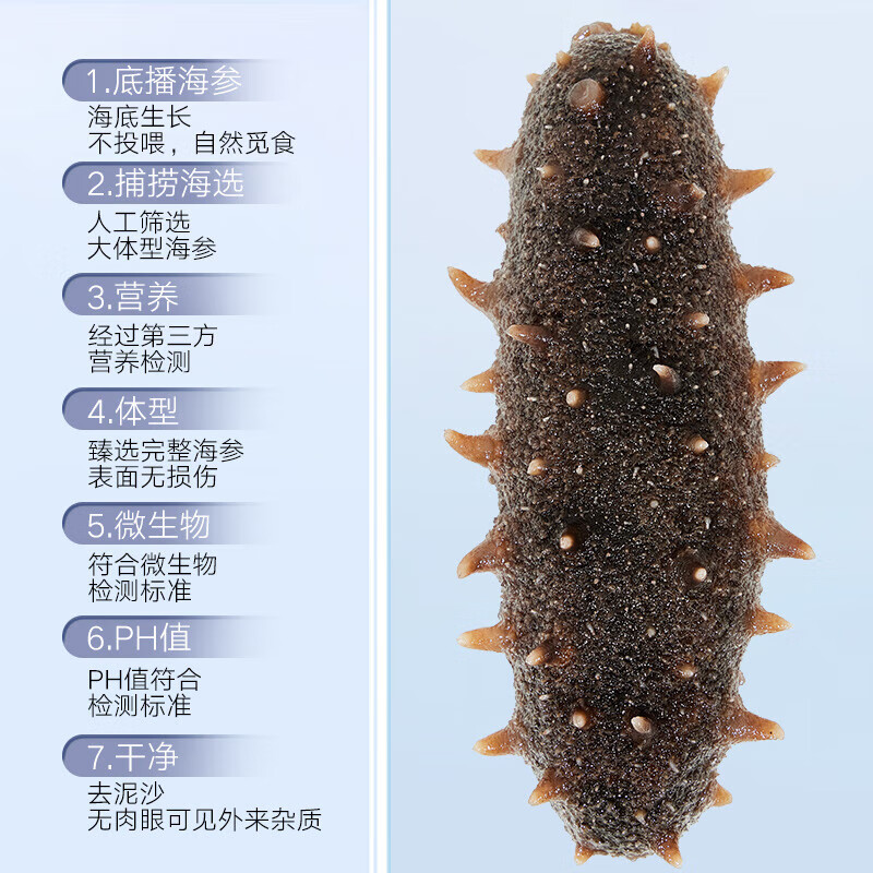 同仁堂 干海参 100克（121-150头/500克）_同仁堂官方云商城