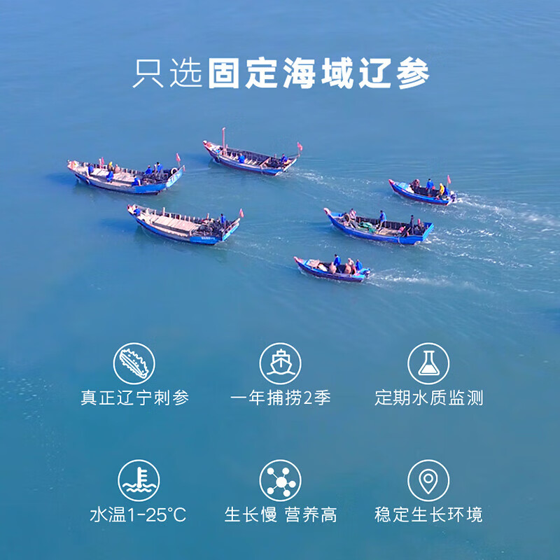 同仁堂 干海参 100克（121-150头/500克）_同仁堂官方云商城