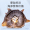 同仁堂 干海参 100克（121-150头/500克）_同仁堂官方云商城