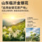 同仁堂 金银花 30g/罐_同仁堂官方云商城
