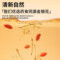同仁堂 金银花 30g/罐_同仁堂官方云商城
