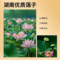 同仁堂 莲子 110g/瓶_同仁堂官方云商城