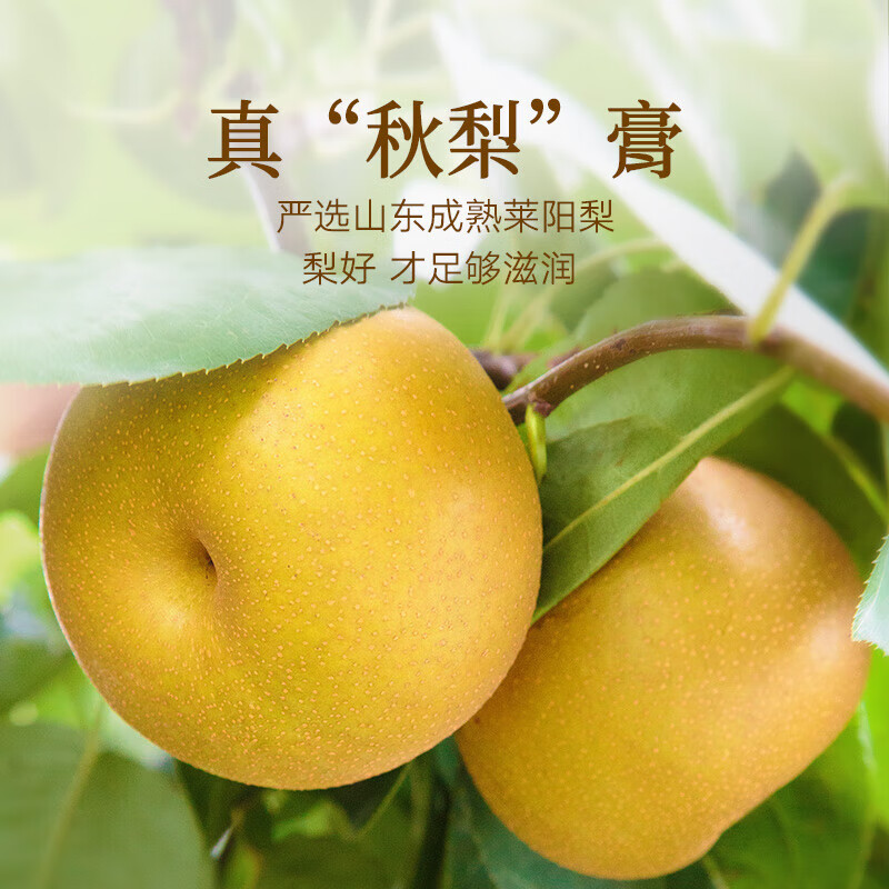 同仁堂 枇杷秋梨膏 300g/盒_同仁堂官方云商城