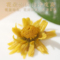 同仁堂 菊花 50克/瓶_同仁堂官方云商城