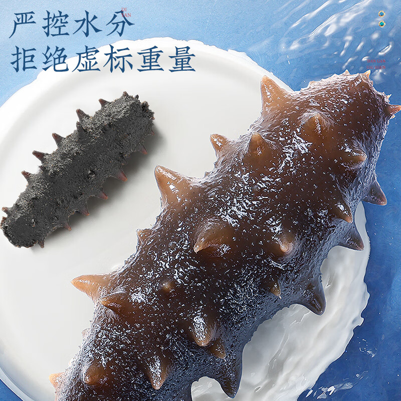 同仁堂 淡干海参 50克（120-140头/500克）/盒_同仁堂官方云商城