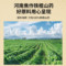 同仁堂 铁棍山药粉 500g/瓶_同仁堂官方云商城