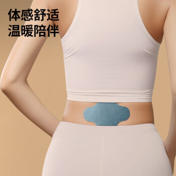 同仁堂 艾草贴 12贴/盒【腰椎贴】_同仁堂官方云商城