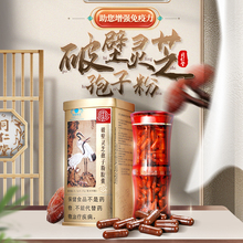 同仁堂 破壁灵芝孢子粉胶囊 0.35g/粒*90粒/盒【效期至2026年10月】