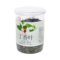 同仁堂 丁香叶 80g/罐_同仁堂官方云商城