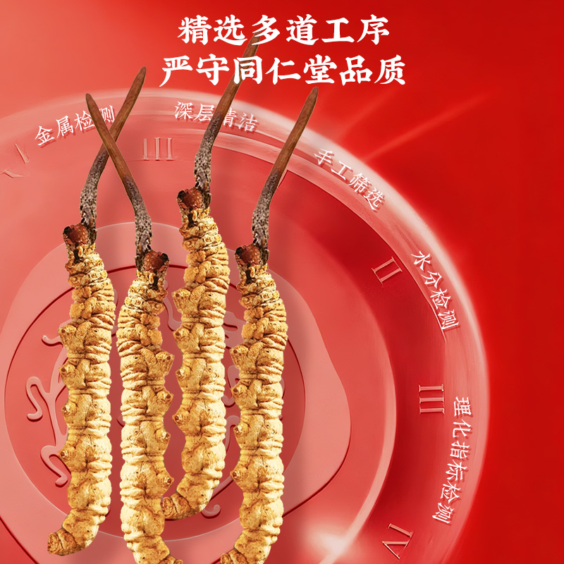 同仁堂 冬虫夏草 冬虫夏草-45/7g/盒_同仁堂官方云商城