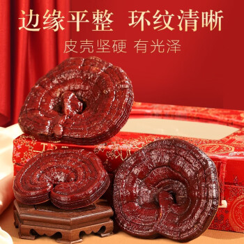 同仁堂 灵芝 300g/盒_同仁堂官方云商城