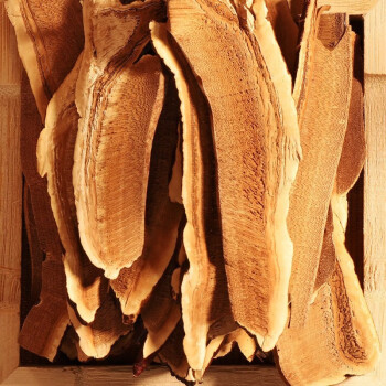 同仁堂 灵芝 灵芝片/350g_同仁堂官方云商城