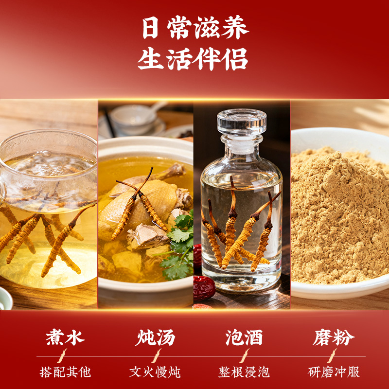 同仁堂 冻干冬虫夏草(人工抚育) -40/12克_同仁堂官方云商城