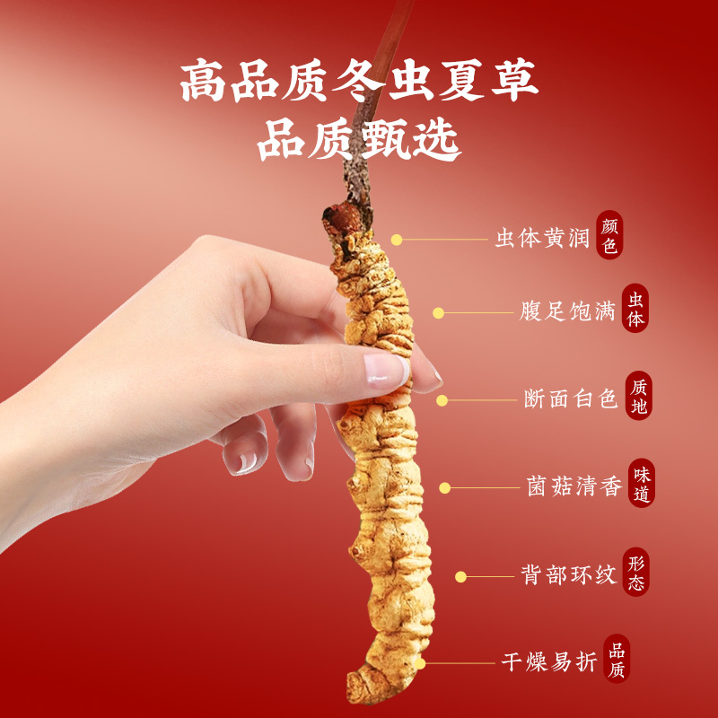 同仁堂 冻干冬虫夏草(人工抚育) -40/12克_同仁堂官方云商城