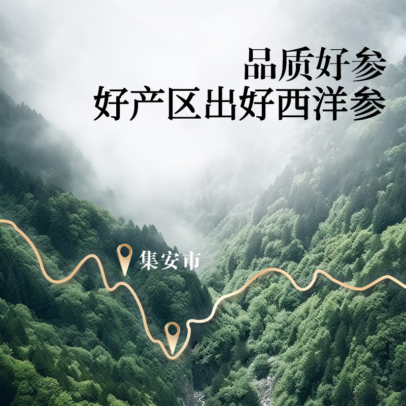 同仁堂 西洋参 200克/盒_同仁堂官方云商城