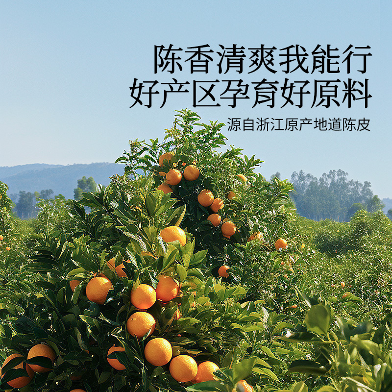 同仁堂 陈皮 100克/瓶_同仁堂官方云商城