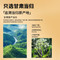 同仁堂 当归 250克/瓶_同仁堂官方云商城