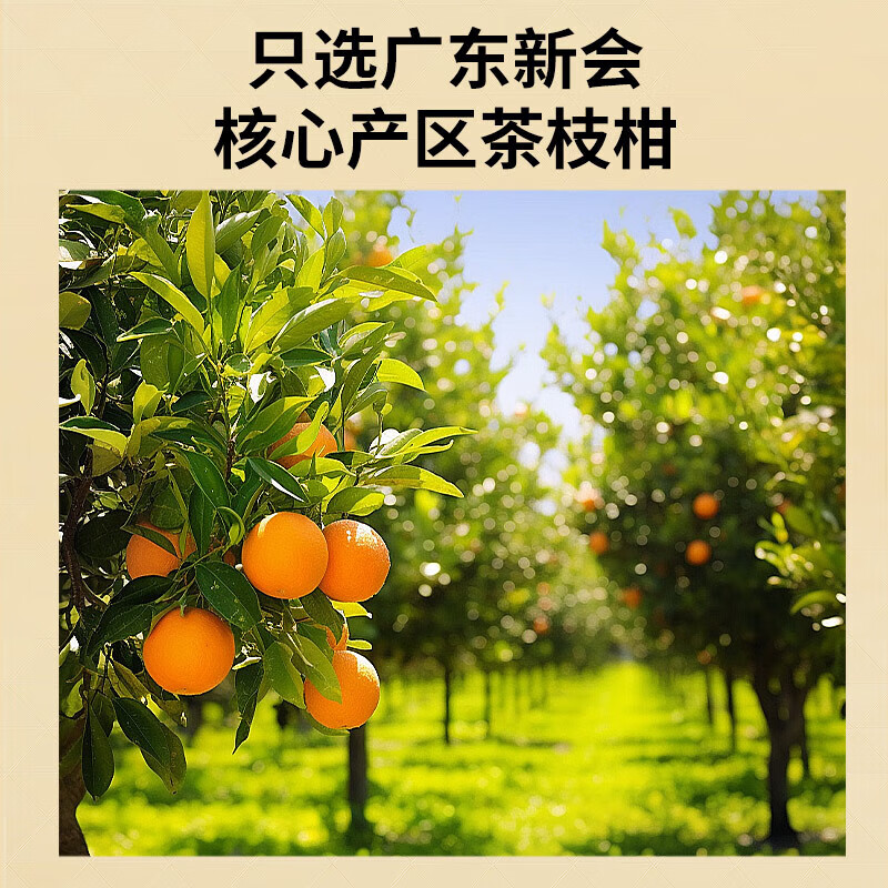 同仁堂 陈皮 50g/瓶_同仁堂官方云商城