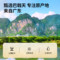 同仁堂 巴戟天 150克/瓶_同仁堂官方云商城