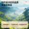 同仁堂 土茯苓 150g/瓶_同仁堂官方云商城
