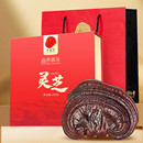 同仁堂 灵芝 250g/盒
