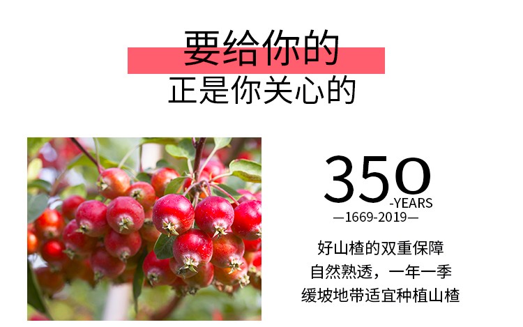 同仁堂 山楂 90g/瓶6