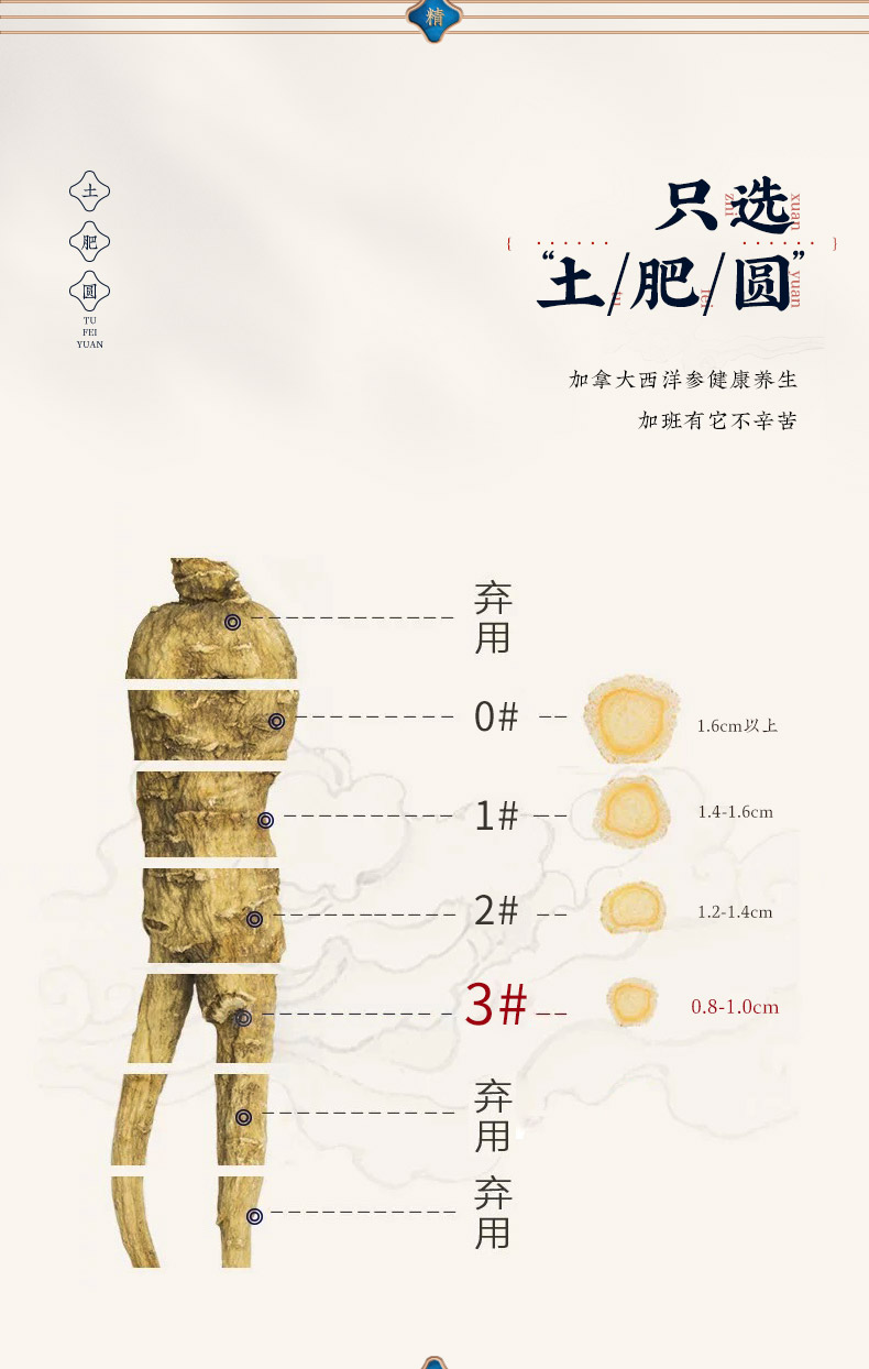 同仁堂 西洋参 80g/瓶 5