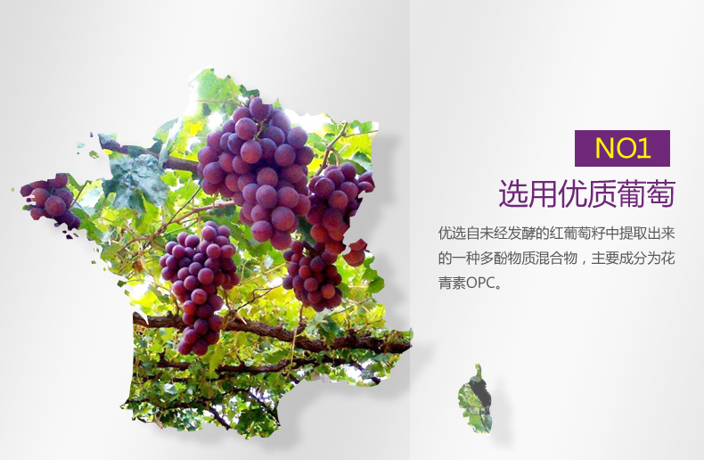 联合邦利 葡萄籽天然维E软胶囊 0.8g*60粒/盒3