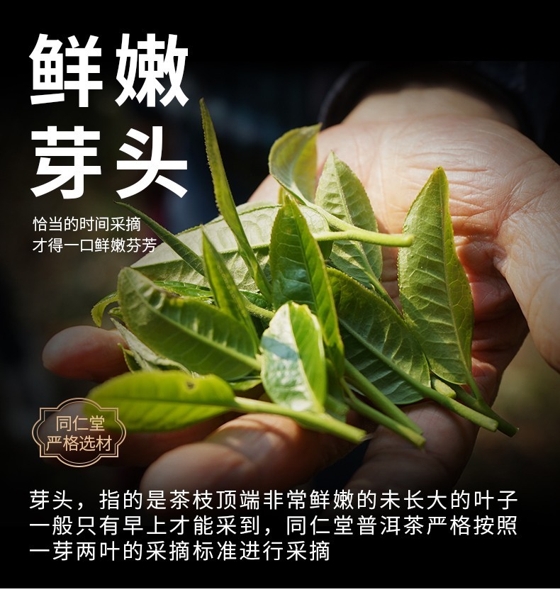 同仁堂 新会柑普洱茶(熟茶) 300g(37.5g*8)/盒 6